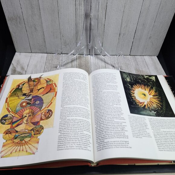 Fire Of Life: The Smithsonian Book Of The Sun 1981 Hardcover Vintage - Picture 6 of 7